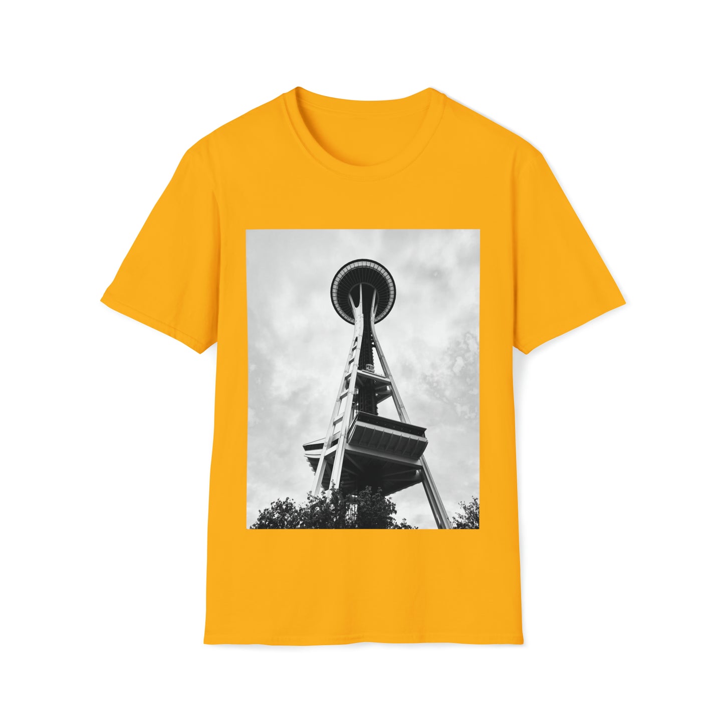 Needle views
